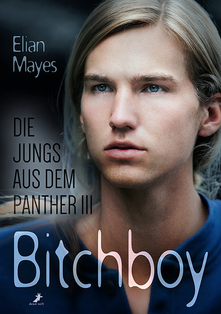 Bitchboy - Die Jungs aus dem Panther 3 - Mängelexemplar