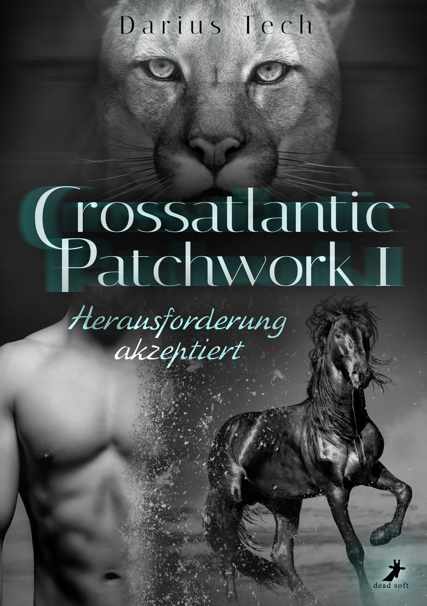 Crossatlantic Patchwork 1: Herausforderung akzeptiert