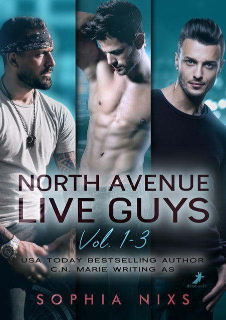 North Avenue Live Guys Band 1-3