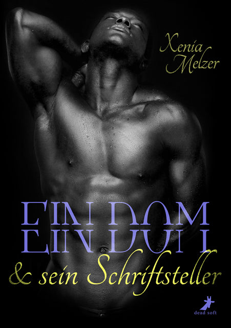 Ein Dom und sein Schriftsteller - Mängelexemplar