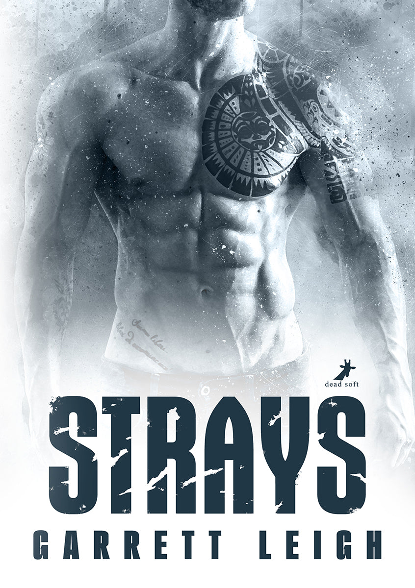 Strays - Urban Soul 2