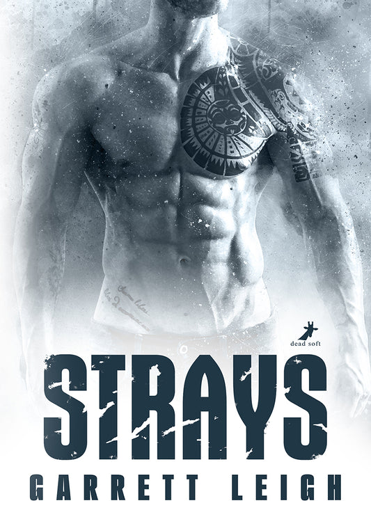 Strays - Urban Soul 2